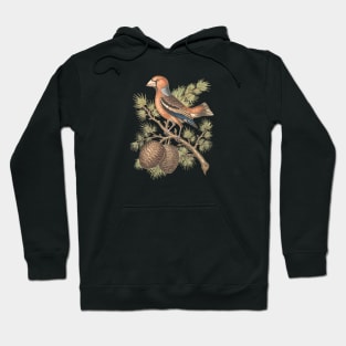 Grosbeak Bird Illustration Hoodie